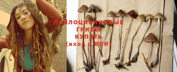 PSILOCYBIN Абинск